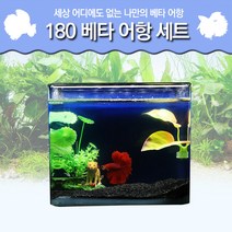 피알피쉬 180 베타 어항 세트, 네온스톤