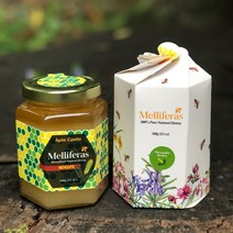 프리미엄 최상급 천연 메스뀌떼꿀 [멜리페라스] 100%천연벌꿀 340g 자연산 수입 약꿀