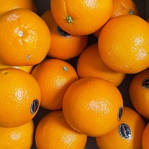 직거래농민장터 고당도 블랙라벨 오렌지 수입과일, 블랙라벨 오렌지 중소과 27개입, 1개