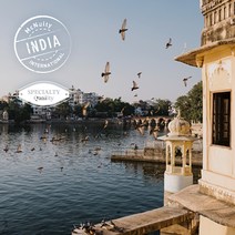 [맥널티 생두] 인도 마드라스 컬렉션 (Washed), 5kg, 1개