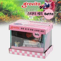 그로비타 스타터 세트 (베타)