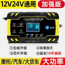 자동차 배터리 충전기 오토바이 점프스타터 펄스 복원, 12V24V 겸용, 1개