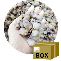 [박스무배]반건조 조미오징어입 10KG, 1개