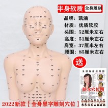 피부 관리 모델 연습 모델 경혈 마사지 머리 안면 페이스 미용 바디, B. 흑색 문자 상반신 및 전신 각인 경혈