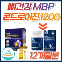 뼈건강 관절엔 콘드로이친 1200 MBP 상어연골 소연골 뼈엔 콘드리친 지성 콘도로이친 콘드레이친 어골칼슘 초록잎홍합 무릎 어깨 허리 팔꿈치 팔목 관절 연골 50대 60대 70대, 12개, [9+3] MBP앤콘드로이친1200 (50%할인)