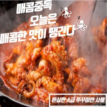 쭈꾸미볶음 맛집 냉동 쭈꾸미볶음 밀키트 택배 매운맛/보통맛 300g 1팩 2팩 3팩