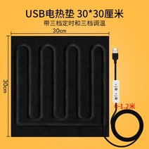 전기담요 usb충전 캠핑 차박 휴대용 사무실, P