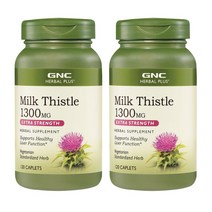 지앤씨 2개 지엔씨 밀크씨슬 1300 mg 실리마린 엑스트라 스트렝스 120 캡렛