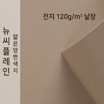 뉴씨플레인 종이문화 얇은 양면색지 120g 전지 낱장 1매 No.58 금발색, 1장
