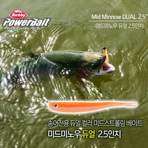 버클리 미드미노우 듀얼 송어 2.5인치웜 PBMMW2.5, PKW, 공통