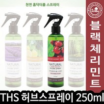 아로마탈취제 룸스프레이 블랙체리민트 250ml A, 블랙체리민트 250ml 012863