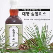 OGD 솔잎효소 375ml 솔잎액몸에좋은효소효소액솔잎엑기스솔잎진액솔잎원액솔잎효소, 트레이드MALL◆ 솔잎효소 375ml, 트레이드MALL◆