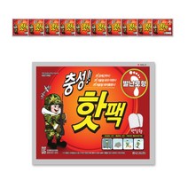 충성 핫팩 보온대 발난로 20g x 2입, 2입20개