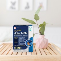 프리미엄 엠에스엠 MSM 보스웰리아 3개월분 비타민D 함유 관절건강 식이유황 뼈건강 관절 연골, 3개입/9개월분