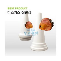 핫피쉬 디스커스산란상 [소] 흰색, 알받이형