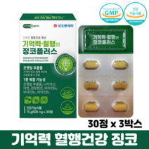 징코플러스 정 기억력 혈행 개선 아연 비타민B 식약처인증 뇌건강 은행잎추출물, 3박스, 징코 30정