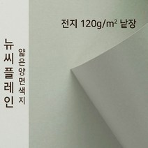뉴씨플레인 종이문화 얇은 양면색지 120g 전지 낱장 1매 No.14 회색, 1장