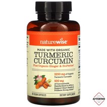 NatureWise 네이처와이즈 터메릭 커큐민 강황 추출물 Turmeric Curcumin 90비건캡슐
