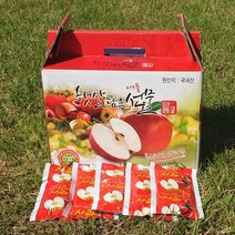 향토박이 영덕 풋사과즙 110ml 50포 덜익은 청사과즙 폴리페놀, 빨간사과즙 2박스(100포), 1개