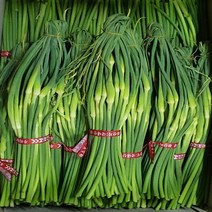 알뜰농장 제주도 마늘쫑 장아찌.무침용 최상품 1-2kg(2단/4단), 1개, 마늘쫑 1kg(0.5 x 2단)