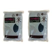 대덕바이오 블루베리 라이스 1kg 2팩 기능성 쌀, 2kg