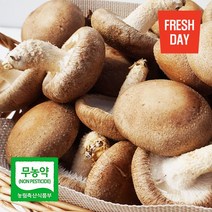 프레시데이 고창 생 표고버섯 정품 1kg, 생 표고버섯 정품/1kg
