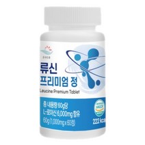 류신 타블렛 알약 산양유 단백질 60정 프리미엄 1000mg x 60개, 1개