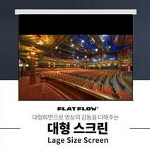 플랏플로우 F-MS250W 와이드 250인치 국산 대형 매립형 전동 스크린 빔스크린, 매립형 와이드 250인치+유선스위치