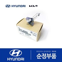 그랜저 HG 순정 D1S 전조등 HID 전구, 1개