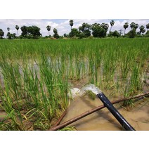 우물 펌프 수중 지하수 수도 24V DC 소형 태양 시추공 0.5 HP 오프 그리드 휴대용 가축 에너지 BLDC 잠수정 워터 키트 비용