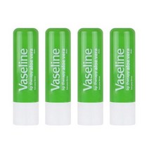 바세린 립테라피 스틱 4.8 g, 02. 알로에, 4.8g, 16개