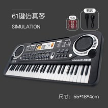 organ 성당 앤틱 파이프 중고 오르간 전자 오르간 어린이 장난감 아기 피아노 초보자 소년과 소녀 교육 음악 마이크 유아 2 세 3 다기능, 대형 61키 일반 전자 오르간마이크 포함일반 배터