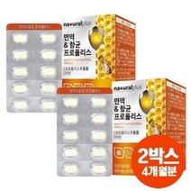 내츄럴플러스 면역 항균 프로폴리스 아연 환절기 구강 건강 씹어먹는 츄어블 2박스 4개월분, 500mg 60정 2박스, 상세페이지 참조