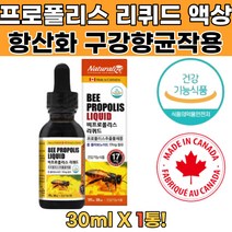 식약처인증 캐나다산 벌 프로폴리스리퀴드 액상 1통 뉴질랜드프로폴리스액상 프로폴리스면역력 프로폴리스브랜드 수용성프로폴리스 어린이프로폴리스 프로폴리스스프레이추천 구강프로폴리스