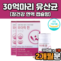 장건강 람노서스gg 불가리쿠스 유산균 알약 모양 엘지지유산균 신프로바이오틱스 시너지유산균 작은알 2개월분