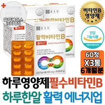 3개월 종근당 활력 비타민B군 나이아신 엽산 B6 지방 탄수화물 단백질 대사 블루베리 알약케이스증정
