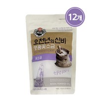 CJ제일제당 천일염 오천년의 신비 꽃소금400gX12개, 단품, 400g