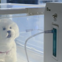 강아지 산소방88L 출고 국내 발송 제품, 산소방 88L 단품 (산소발생기x)