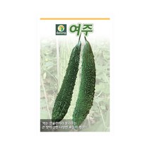 덩굴성 여주쓴오이 씨앗 100립 박과식물 여주 종자, 단품