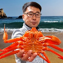 속초& 후포 일반형 홍게 3kg(7~11미) 가성비 갑 / 고급형_프리미엄형_박달형_연지홍게 선택가능 붉은대게 대게, 03. 생물 프리미엄형 3kg(6~9미)