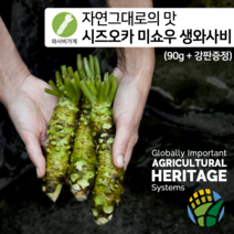 [와사비가게] 첨가물이 없는 자연그대로의 시즈오카 미쇼우 생와사비 90g(강판증정)
