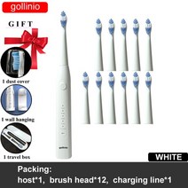 전동칫솔 음파전동칫솔 초음파칫솔 휴대용전동칫솔 gollinio electric tooth brush usb fast charging gl09b electronic tooth, 협력사, gl09white12h-hb