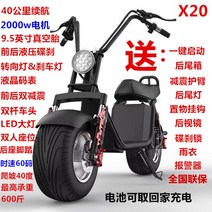 전동킥보드 전기킥보드 전기스쿠터 2023 할리 전기 자동차 큰 바퀴 넓은 타이어 60v 스케이트 보드 자전거 두 배터리 성인 페달 스쿠터, x20 모델은 2000w 배터리로 40km 떨어져