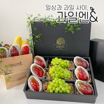 과일엔 항공직송 프리미엄 고당도 애플망고 태국망고 샤인머스켓 과일 선물세트, 애플망고 정성세트, 애플망고 6
