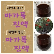 마가목진액 60팩(115m l)A 신비의나무 마가목 녹용즙, 1형구매)마가목진액60팩