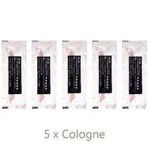 거치형 필터교체없는 차량용 공기 청정기 인테리어 에어 벤트 향수 여성 용품 퍼퓸 향료, 04 5피스s Cologne