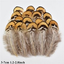 도매 천연 공작 꿩 깃털 작은 닭 거위 플라이 묶는 재료 수공예 액세서리 장식, 50 Piece, Size 3-7CM_4