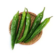 [오창농협] 친환경 오이고추 150g x 2봉, 1봉