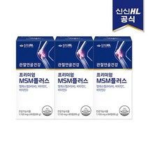 신신제약 프리미엄 MSM플러스 60정 x 3팩 90일분, 없음