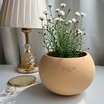 ENVIE CASA 진주 토분 지름16, 1개